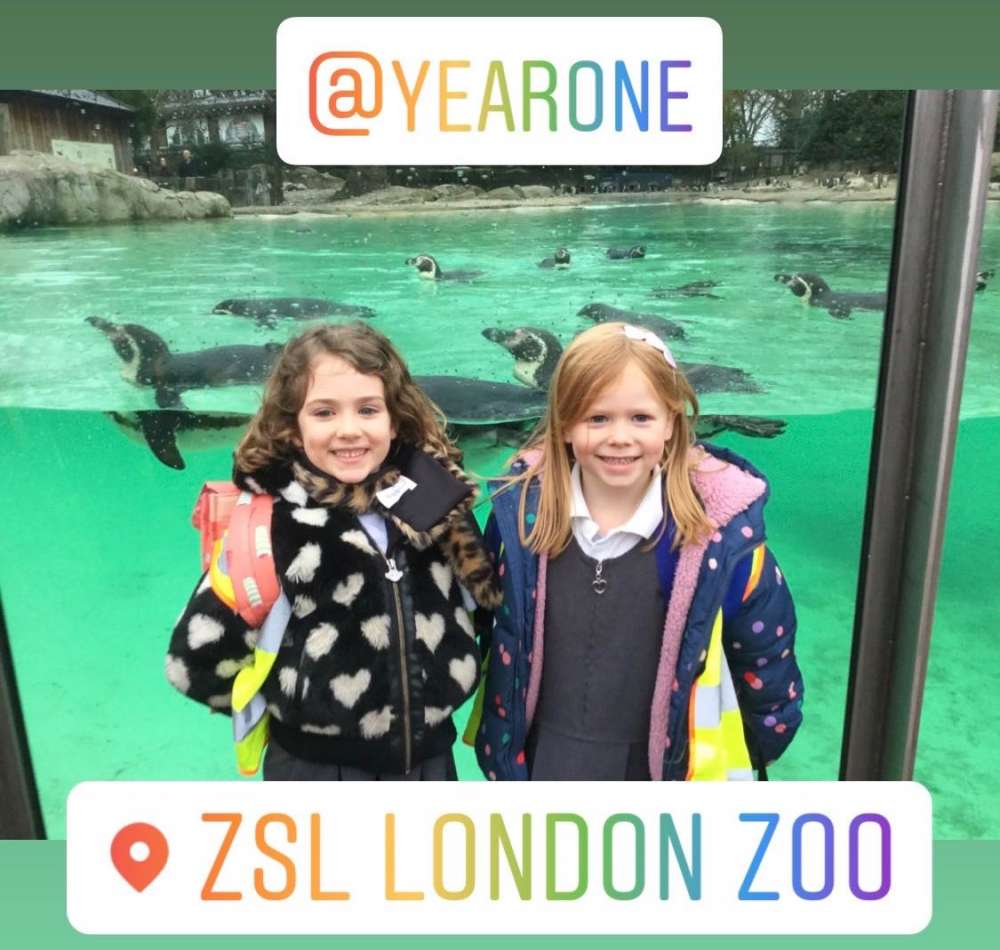 Year One’s Trip to London Zoo