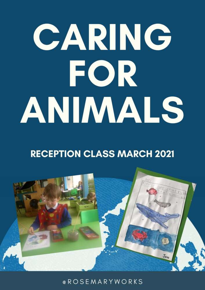 Reception Class are All about Caring for Animals!