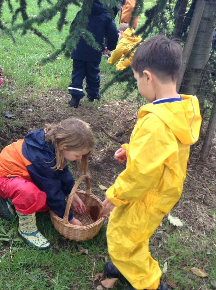 Reception Class Forest School – Autumnal Leaf Printing