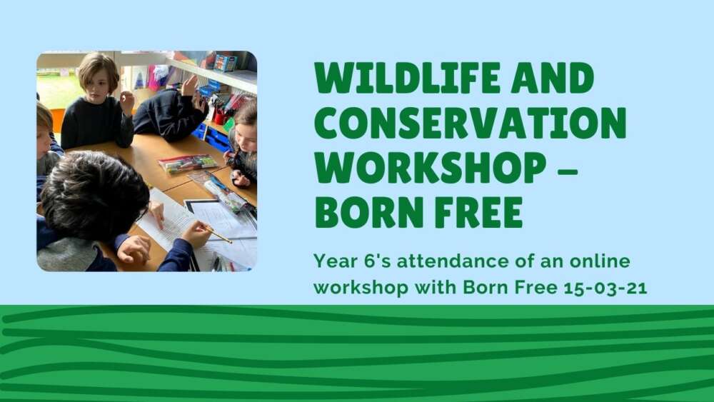 Year 6 – Wildlife and Conservation Workshop – Born Free