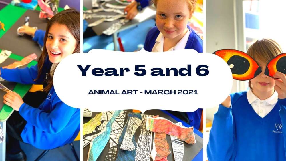 Year 5 and 6 Animal Art Project