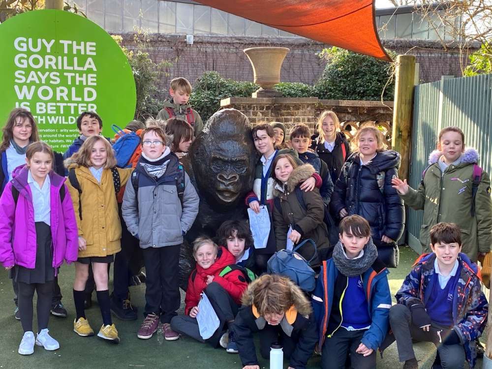 Year 5 and 6’s Visit to London Zoo