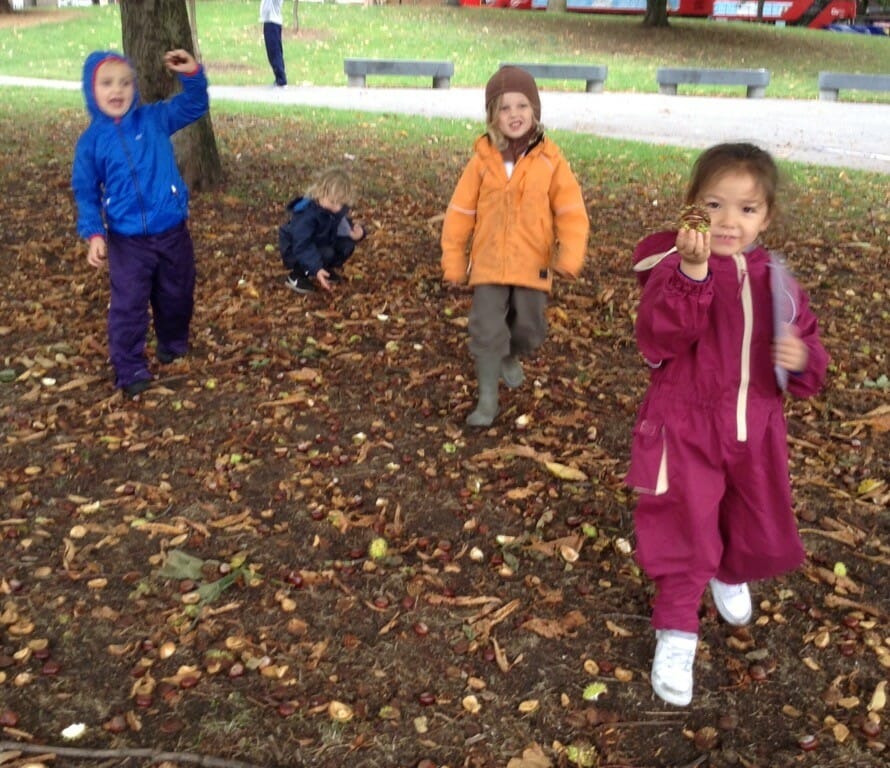 Reception Class’ Forest School Session